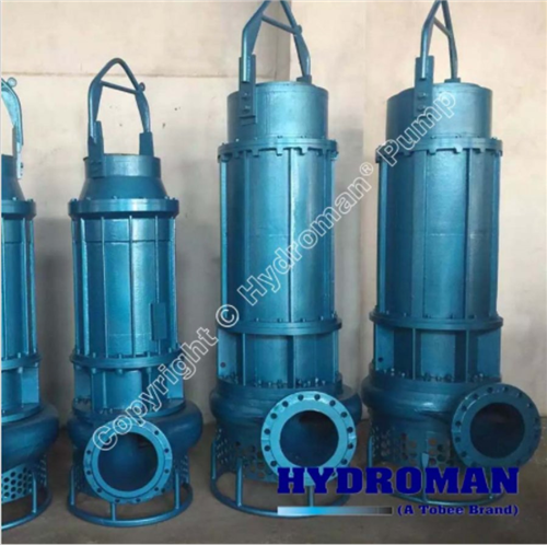  Máy Bơm Đặt Chìm Hút Bùn 300TJQ780-50-185 