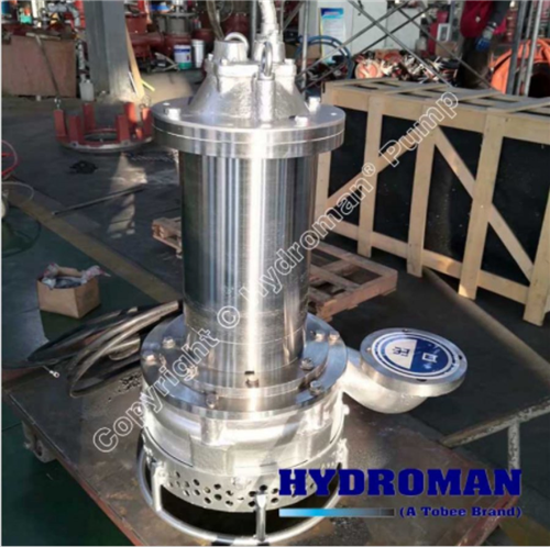  Máy Bơm Đặt Chìm Hút Bùn 65TJQ35-10-3 