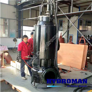  Máy Bơm Đặt Chìm Hút Bùn 350TJQ1250-35-220 