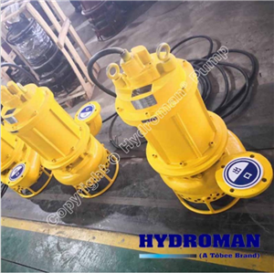  Máy Bơm Đặt Chìm Hút Bùn 80TJQ20-30-5.5 