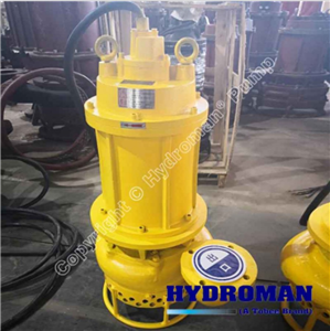  Máy Bơm Đặt Chìm Hút Bùn Cát TSQ25-40-11 
