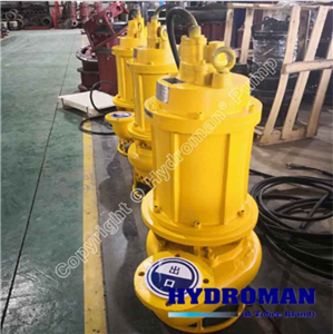  Máy Bơm Đặt Chìm Hút Bùn Cát TSQ70-20-11 